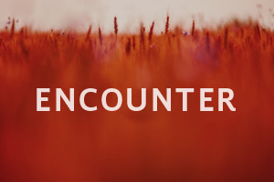 Encounter