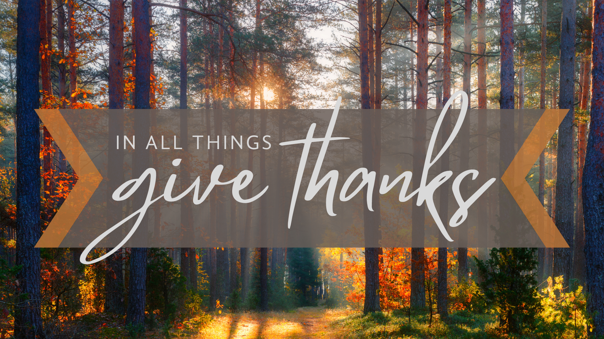 In All Things Give Thanks | Christ Community Church